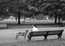 in the park